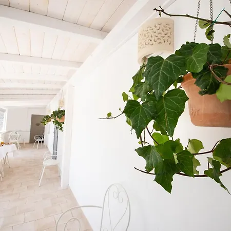 Bed and Breakfast Il Vecchio Frantoio 4*